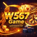 W567 Game