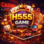 H555 Game