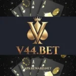 V44 Bet Game